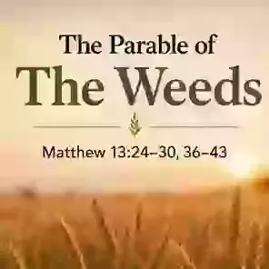 The Parable of the Weeds